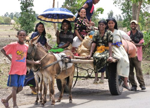 Top Ethiopia Cultural Tours | Agafari Ethiopia Tours Experience