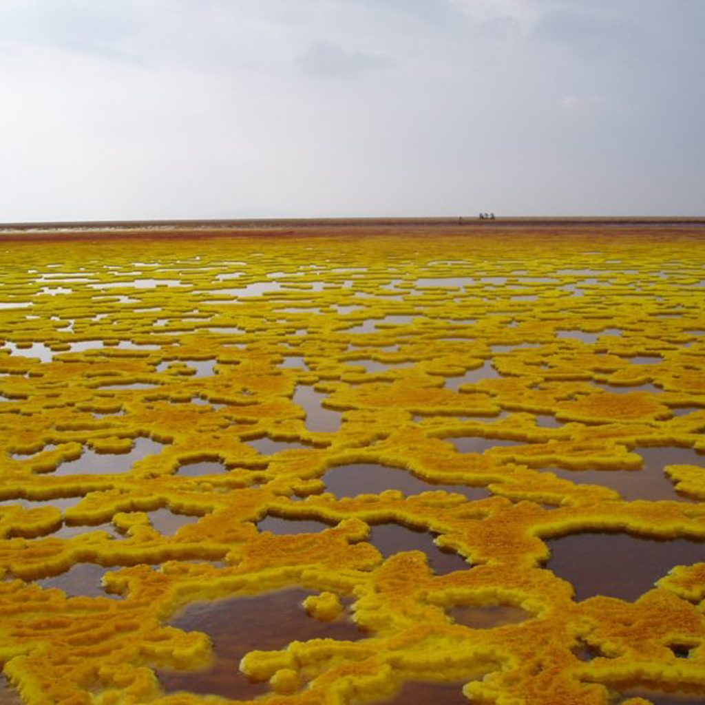 Danakil Depression Tour Ethiopia Erta Ale Volcano Danakil Depression Tour Dallol sulfur springs Ethiopia Afar salt flats Danakil Depression Tour Camel caravan in Danakil Depression Ethiopia