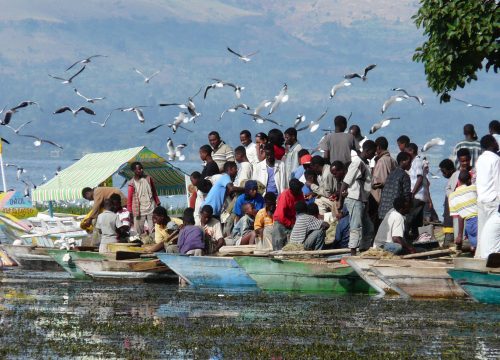 Rift Valley Lakeside Escape | 5-Day Ethiopia Journey