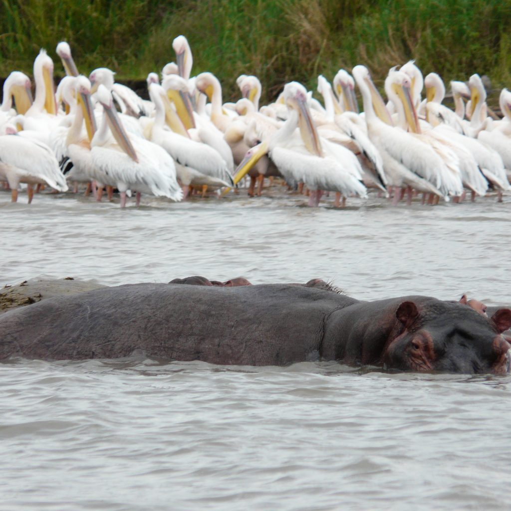 4-Day Lakes and Highlands Tour Ethiopia Ethiopian lakes and highlands landscape Scenic Ethiopia highlands tour Nature tour in Ethiopia lakes region Ethiopian countryside and lakes tour