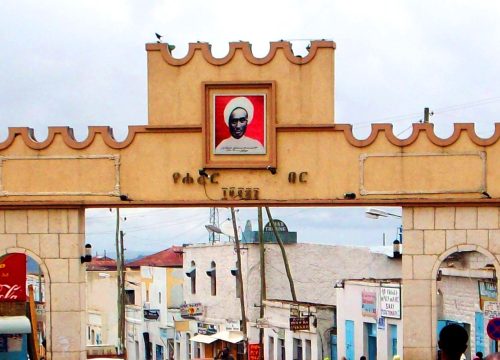 5-Day Awash Harar Tour | Wildlife & Historic Harar
